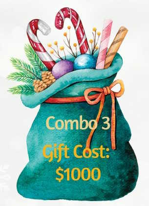 Christmas Catalog 2025 Gift Combo 3