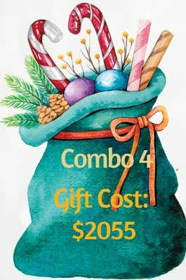 Christmas Catalog 2025 Gift Combo 4